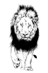 lion drawn with ink from the hands of a predator tattoo logo