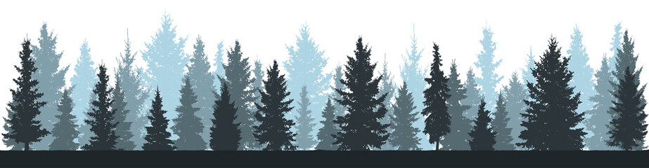 Winter forest (fir trees, spruce) silhouette on white background. Vector illustration.