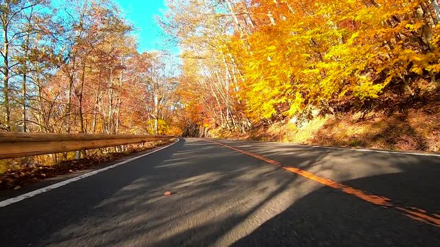日光紅葉、車載