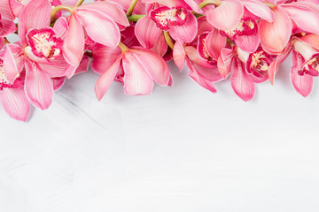 Beautiful pink blossoms of Cymbidium orchids. Pretty exotic Japanese garden flowers, tropical...