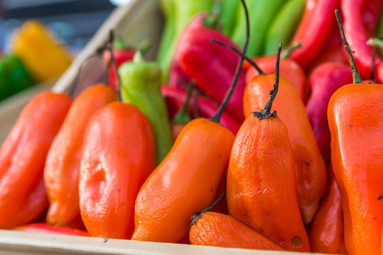 Organic Peruvian aji amarillo chili peppers on display in wooden boxes at a street food market fair festival