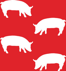 vector pig on red background