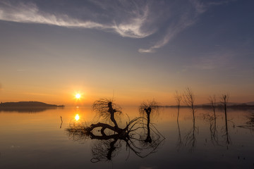Beautiful sunset at Trasimeno lake (Umbria), with perfectly still water, skeletal trees and beautiful warm colors