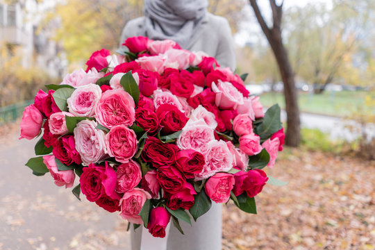 Fototapeta Big luxury bright bouquet in the hands of a cute girl. One hundred garden roses, varieties of David Austin. Three kinds of bright pink, scarlet and pastel colors. Autumn leaves in the Park.