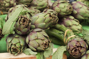 Obraz premium Big green artichokes