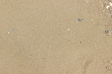 Fototapeta na wymiar Beach sand close up texture horizontal detail