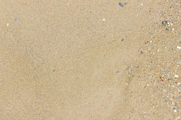 Beach sand close up texture horizontal detail