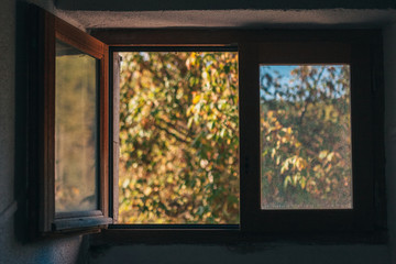 A small wooden window is open with a view towards the garden