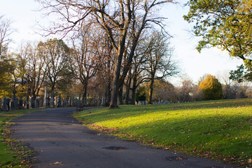 A Cemetery glowing in the light of a Autumn sunset