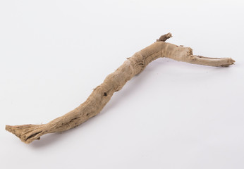 Dried tree snag