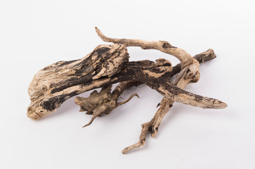 Dried tree snag