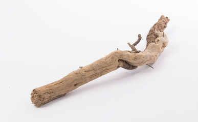 Dried tree snag