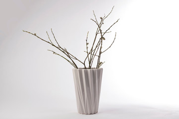 White vase with willow branches