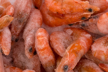 Obraz na płótnie Canvas Frozen shrimp background