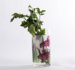 Bunch of parsley in a glass Cup