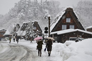 Japan in the winter