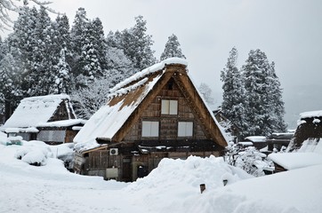 Japan in the winter