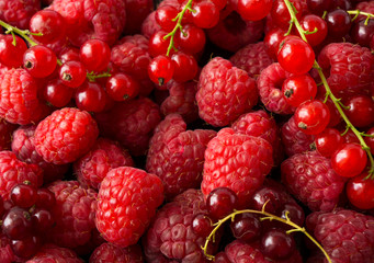 Background of raspberries and red currants. Fresh berries closeup. Top view. Background of red berries. 