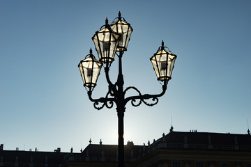 Fototapeta na wymiar Kandelaber vor Schloss Schönbrunn vor tiefstehender Sonne