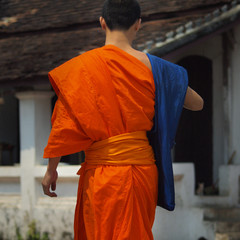 Monks walking in the streets of Luang Prabang, Laos