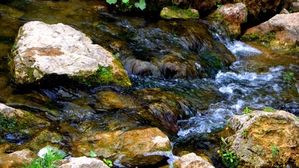 Fototapeta na wymiar stream of water in the forest