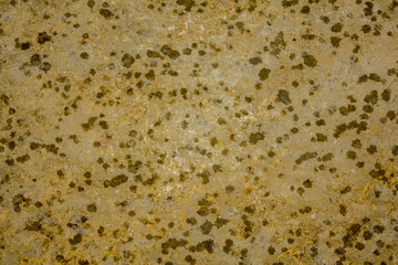 raindrops on a gray-green concrete surface. dirty surface paint spots.