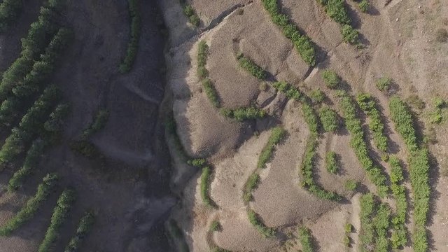 Aerial view of agricultural fields in the mountains with blue sky background. Shot