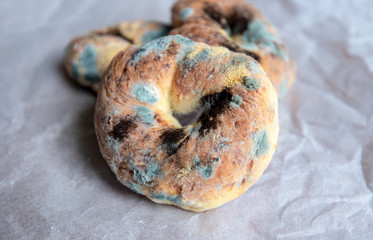 Close-up Mold on the Bread, moldy Bread on white crumpled paper