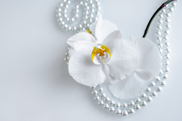 pearl and white orchid on a white glas 
