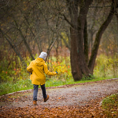 Closeup of back view on walking little child. Kid boy walking in the park on autumn day. Countryside lifestyle concept
