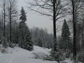 Zima w Beskidach © Zofia