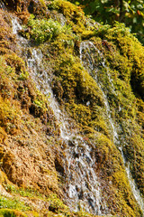 Beautiful small waterfall on the background of green moss. Summer sunny weather