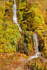 Beautiful small waterfall on the background of green moss. Summer sunny weather