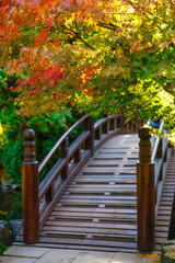 Fototapety  Piękny ogród japoński z mostem w okresie jesiennym