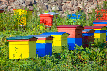 honey production, bee hives in rustic place