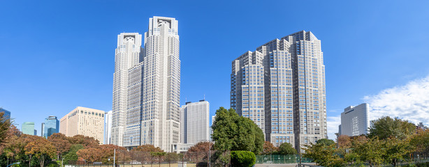 Fototapeta premium Miasto Nishi-Shinjuku