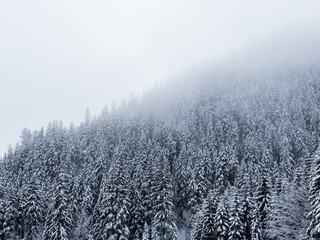 Trees covered with hoarfrost and snow in winter mountains - Christmas snowy background