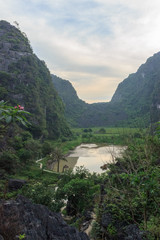 rice fields with the karst mountains in ninh binh, vietnam