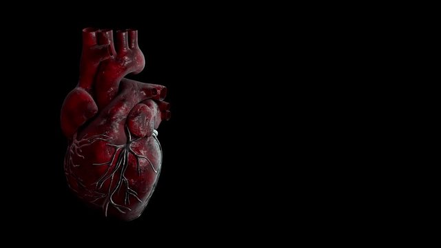 heartbeat pulse video for medical apps and websites