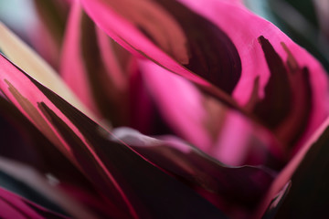Abstrato
