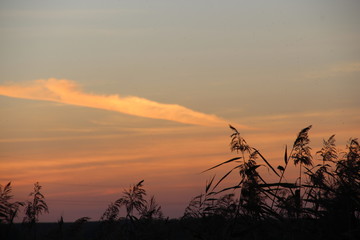 Obraz premium angelic trail