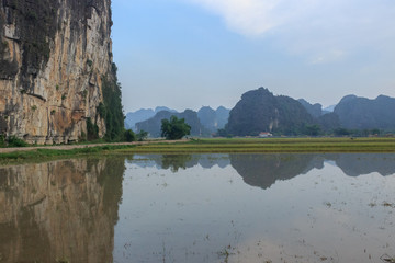 Fototapeta na wymiar rice fields with the karst mountains in ninh binh, vietnam