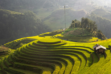 landschapsrijstvelden op terrassen van Mu Cang Chai, YenBai, Vietnam