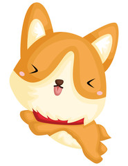 an adorable and cute pure breed corgi 