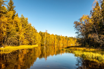 Fototapeta na wymiar Finnish autumn
