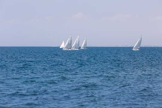 Seascape with yachts