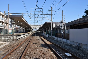 Fototapeta premium 大宮公園