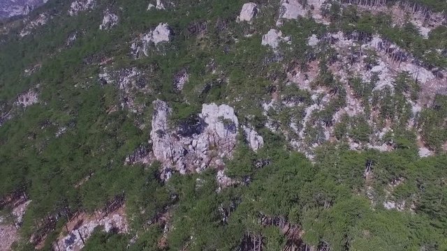 Aerial view green forest background, Caucasus, Russia. Shot. Rocky cliff and mixed forest on the mountain, the oldes mountains in the world, Ural, Russia