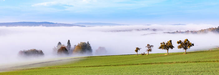 foggy sunrise in the scenic hilly landscape of the Taunus area in Hesse