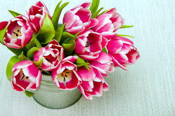 Pink tulip bouquet on light background, copy space